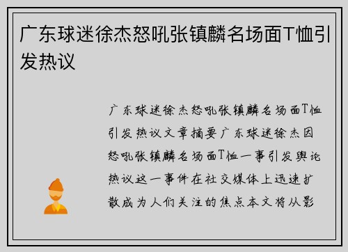 广东球迷徐杰怒吼张镇麟名场面T恤引发热议